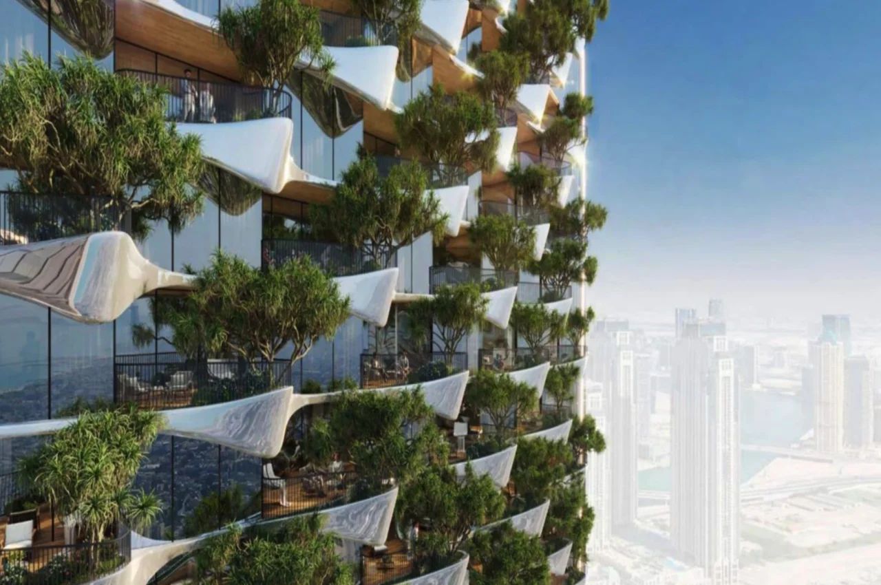 Safa One gallery image